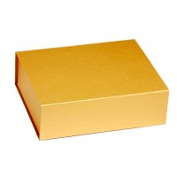Folding cardboard boxes rigid new closure - Magnet